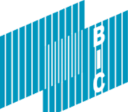 BIC logo